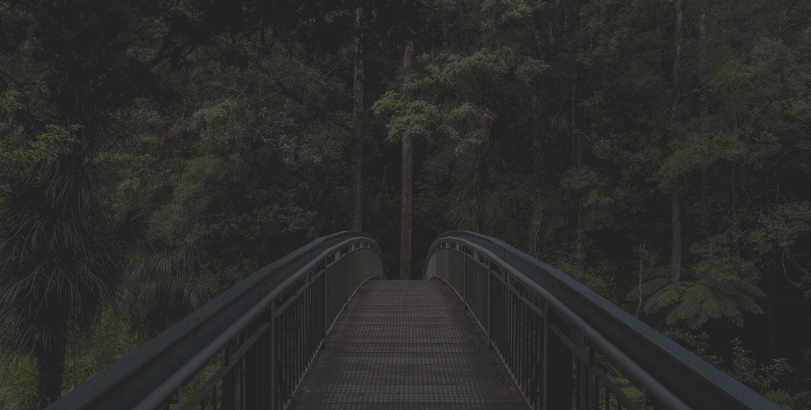 Tropical paradise resort with pristine beaches and crystal clear waters - Stay Resort Now